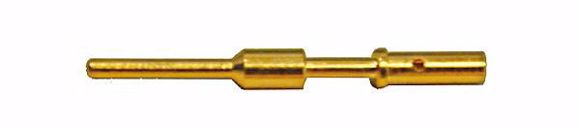 SYN-RLCM13-85.JPG