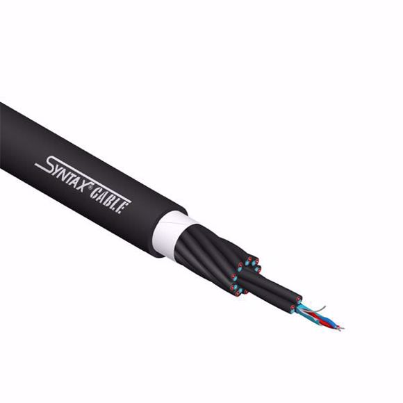SYN-AM12P.JPG