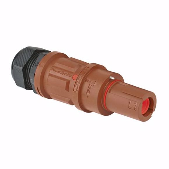 SYN-LD1BROWN120.JPG
