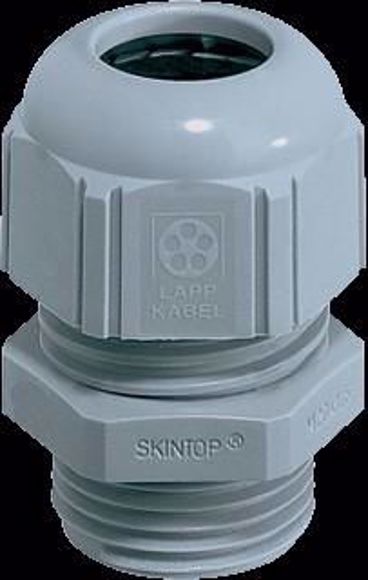 LAP-5311.1050.JPG
