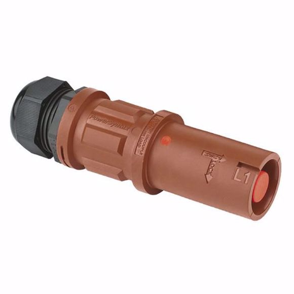 SYN-LS1BROWN.JPG