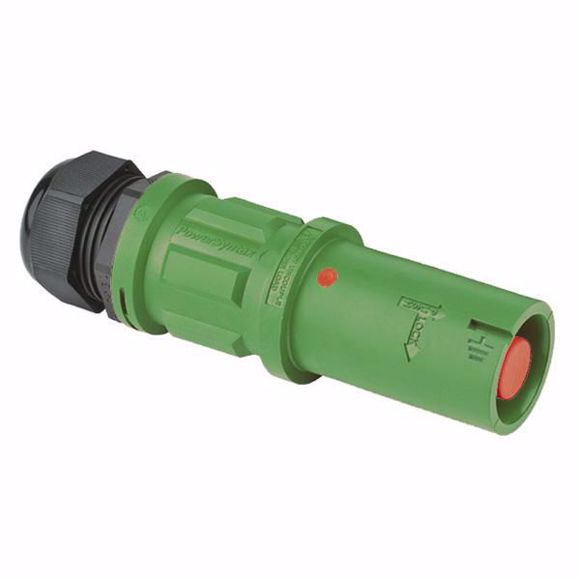 SYN-LSEGREEN120MR.JPG