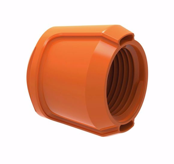 a-oranje.JPG