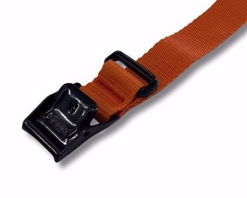 ARN-STRAP25-ORANGE IMG_9347.JPG