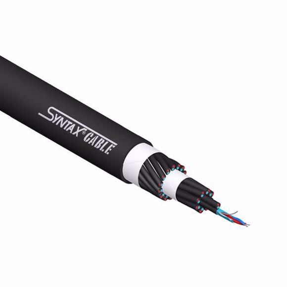 SYN-AM24P.JPG