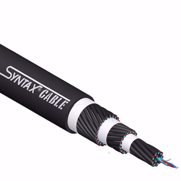 SYN-AM48P.JPG